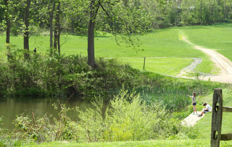 David C. Shaw Arboretum, United States